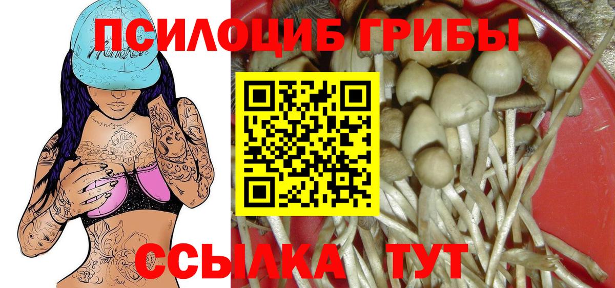 Галлюциногенные грибы ЛСД  Вход с VPN  Лабинск 