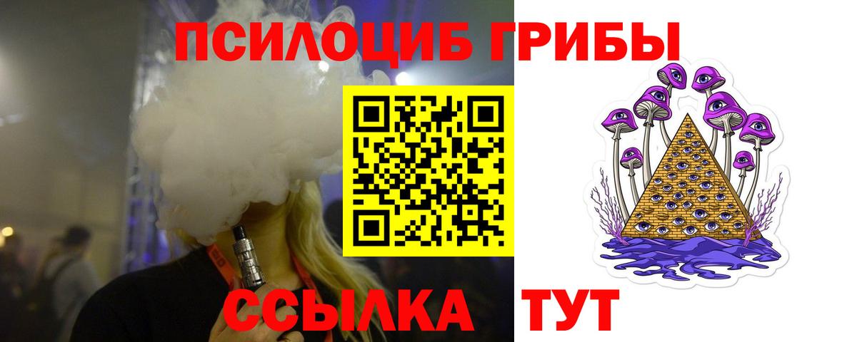 Галлюциногенные грибы Psilocybine cubensis Лабинск